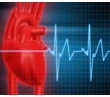 Cardiovascular Screening